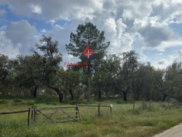 Terreno venda em Benavente, Santarém