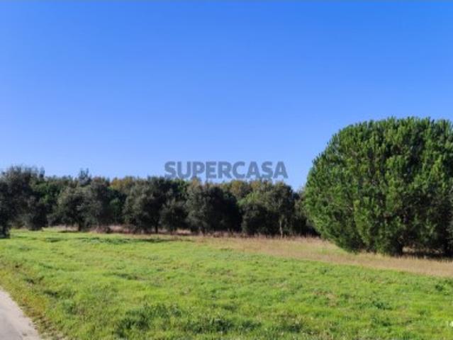 Terreno venda em Montijo, Setúbal