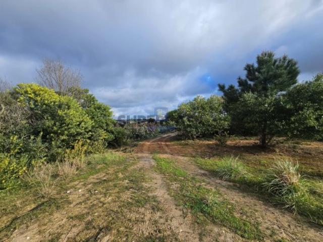 Terreno venda em Caldas Da Rainha, Leiria