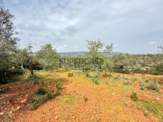 Terreno venda em São Bartolomeu De Messines, Faro