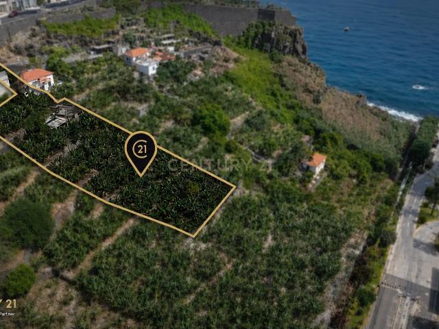Terreno venda em Funchal, Ilha Da Madeira