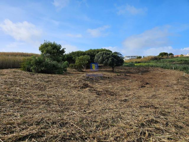 Terreno venda em Caldas Da Rainha, Leiria