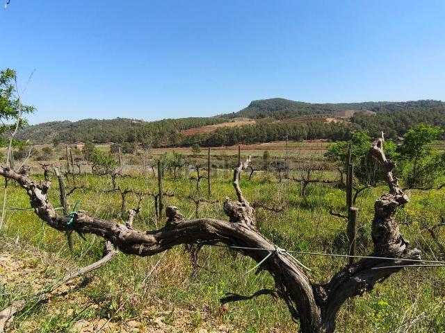 Terreno en venta en Priorat, Catalunya