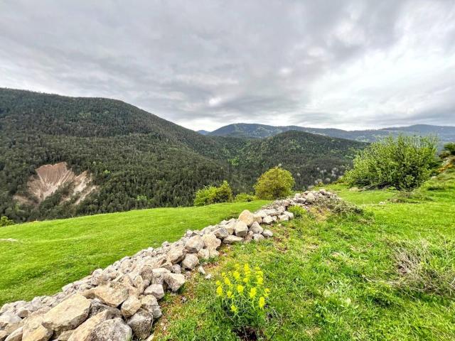 Terreno en venta en Fanlo, Sobrarbe