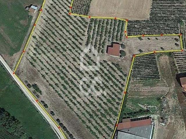 Terreno venda em Chaves, Vila Real