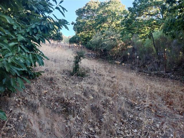 Terreno en venta en Serranía de Ronda, Andalucía