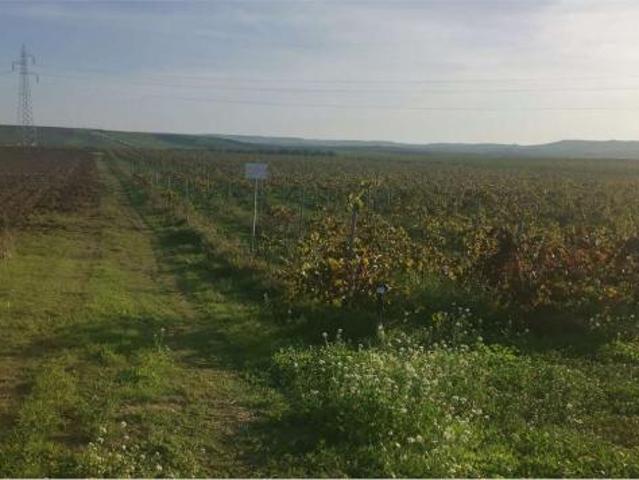 Terreno in vendita a Trapani, Sicilia