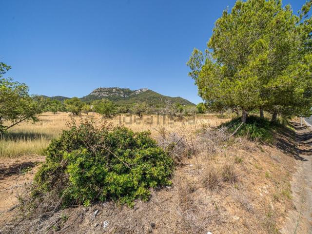 Terreno en venta en Felanitx, Illes Balears