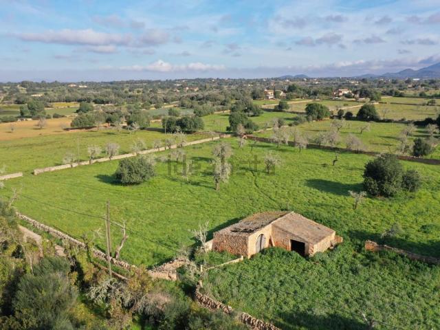 Terreno en venta en Cas Concos des Cavaller, Migjorn