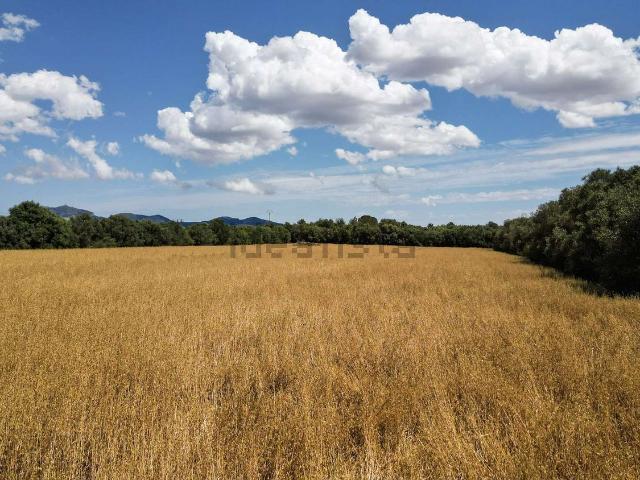 Terreno en venta en Son Mesquida, Migjorn
