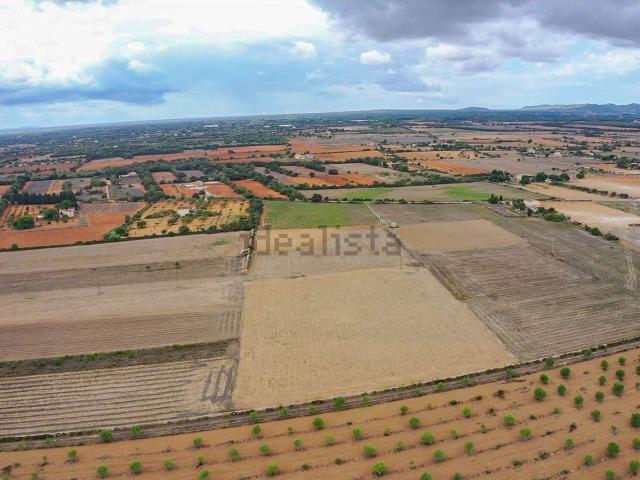 Terreno en venta en s'Horta, Migjorn