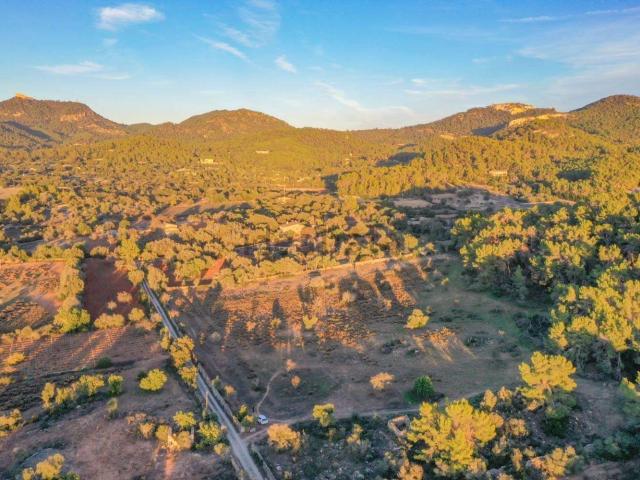Terreno en venta en Cas Concos des Cavaller, Migjorn