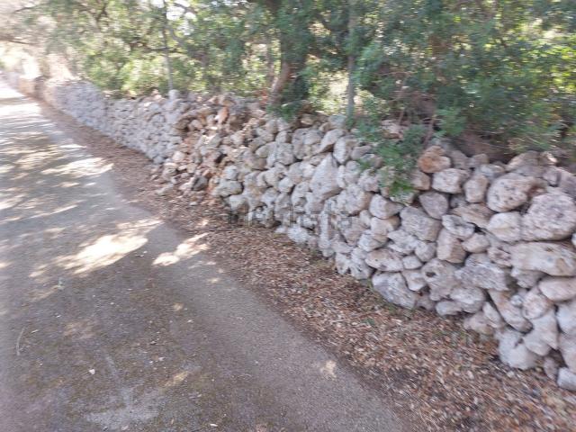 Terreno en venta en Pla de Mallorca, Baleares