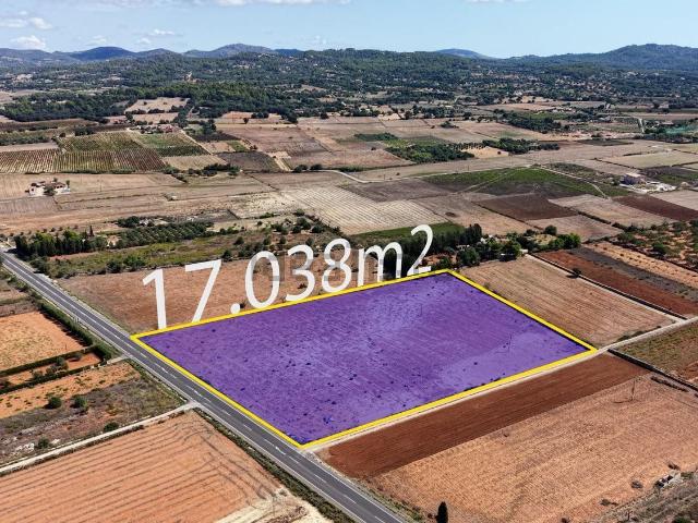 Terreno en venta en Son Prohens, Migjorn