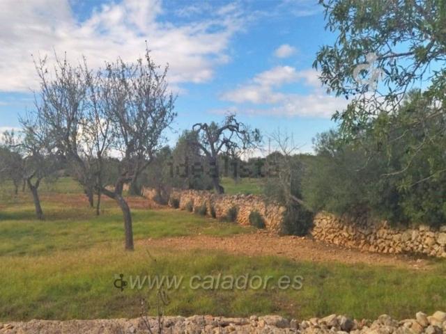 Terreno en venta en Cala Ferrera, Migjorn