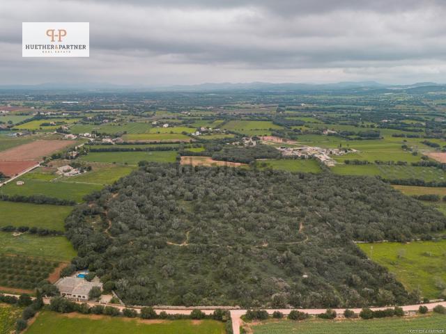 Terreno en venta en Son Mesquida, Migjorn