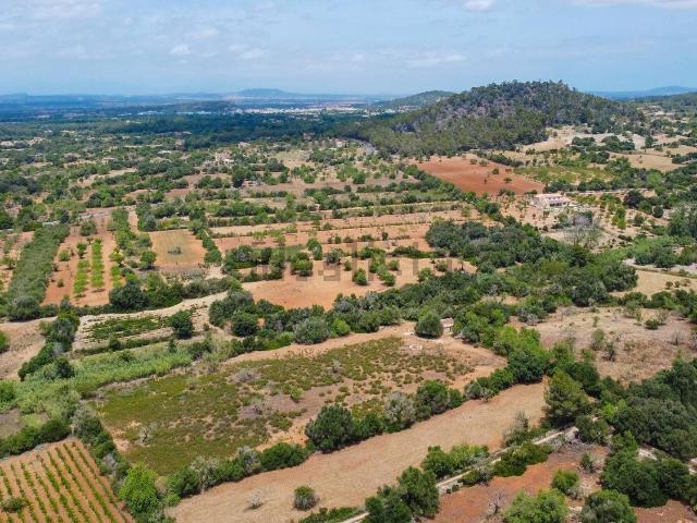 Terreno en venta en Cas Concos des Cavaller, Migjorn