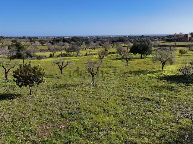 Terreno en venta en Cala Marçal, Migjorn