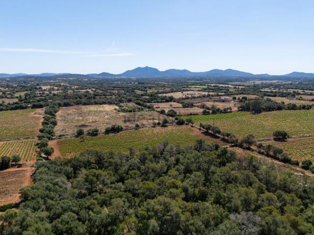 Terreno en venta en Migjorn, Baleares