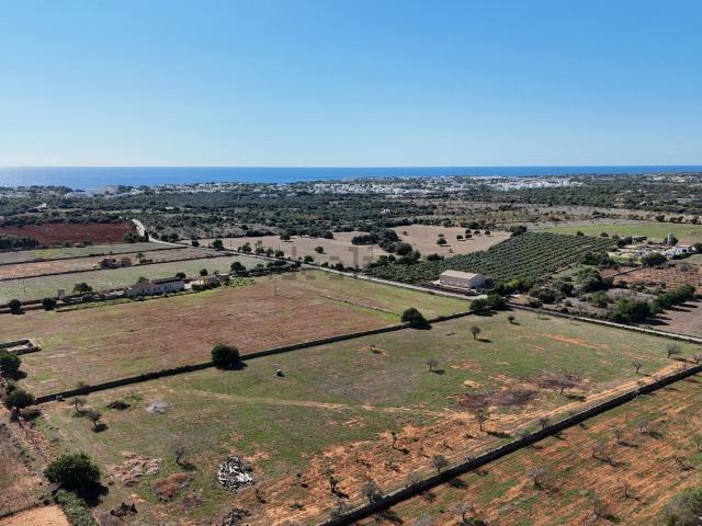 Terreno en venta en s'Horta, Migjorn