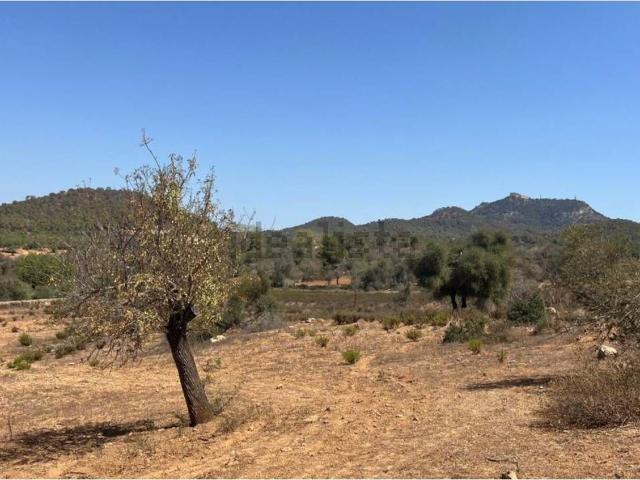 Terreno en venta en Migjorn, Baleares
