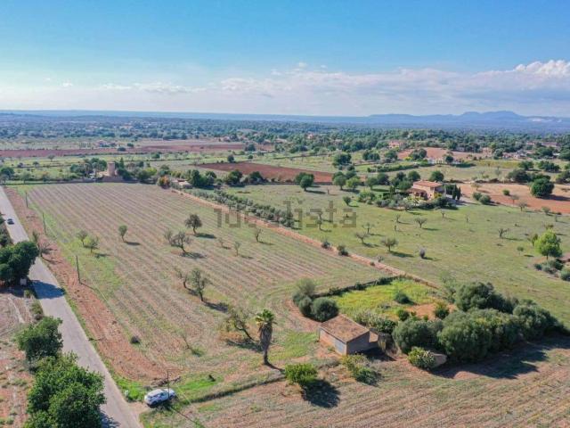 Terreno en venta en Cas Concos des Cavaller, Migjorn