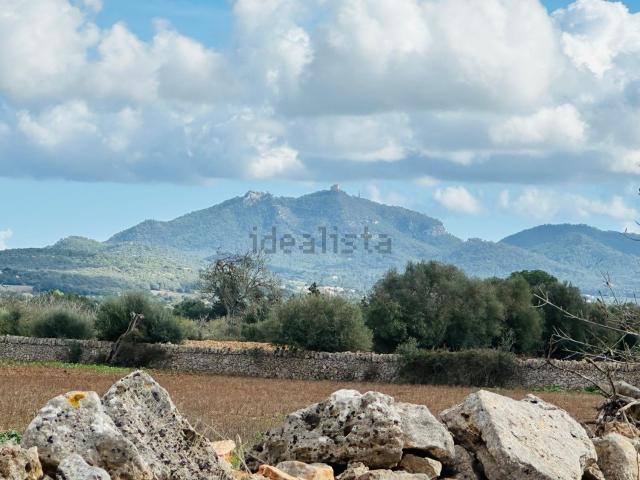 Terreno en venta en Son Mesquida, Migjorn