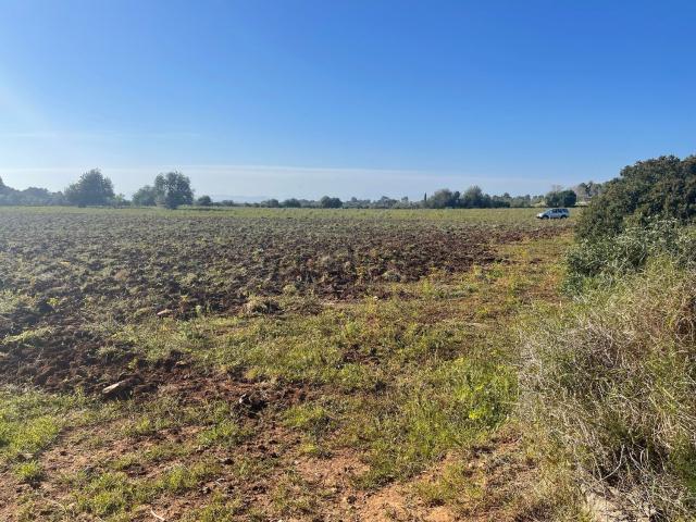 Terreno en venta en Son Negre, Migjorn