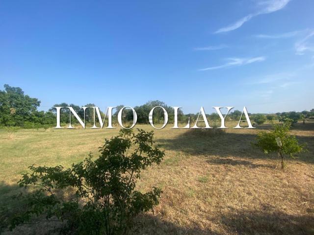 Terreno en venta en Alt Empordà, Catalunya