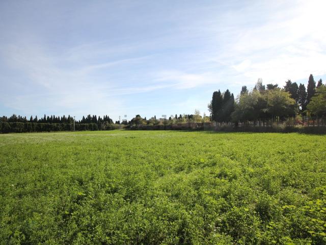 Terreno en venta en Alt Empordà, Catalunya