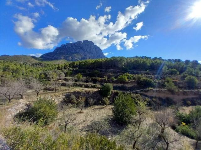 Terreno en venta en Finestrat, Valencia