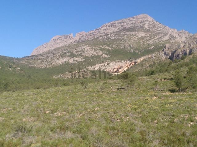Terreno en venta en la Marina Baixa, Valencia