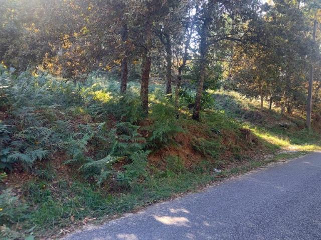 Terreno venda em Amares, Braga