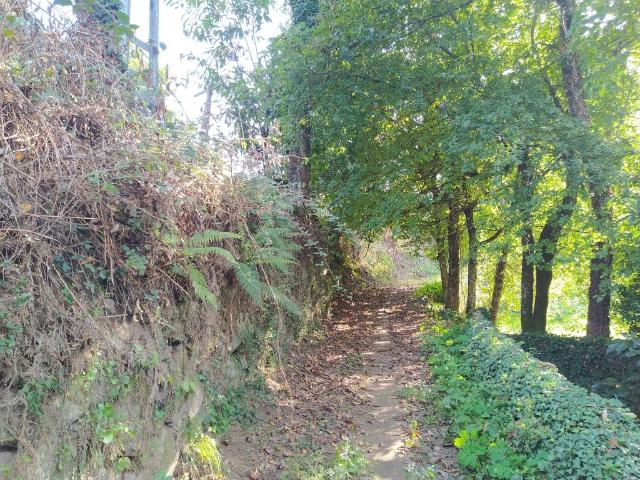 Terreno venda em Amares, Braga