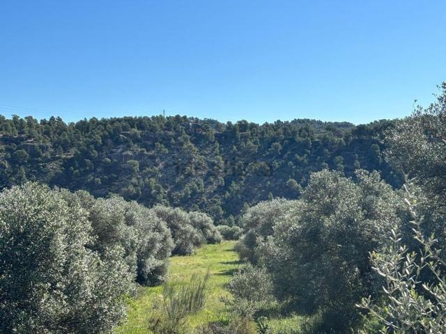 Terreno en venta en Ribera d'Ebre, Catalunya