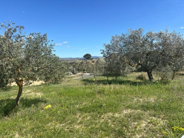 Terreno en venta en Ribera d'Ebre, Catalunya