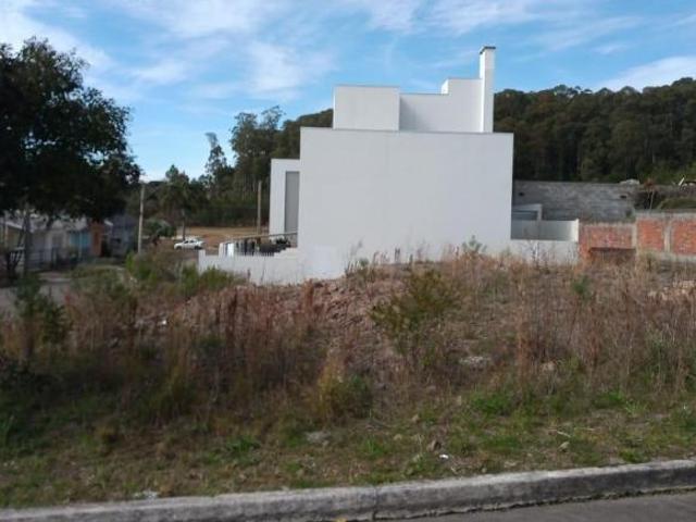 Terreno venda em Flores da Cunha