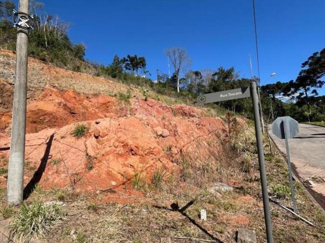 Terreno venda em Flores da Cunha