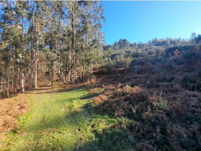 Terreno venda em Boalhosa, Viana Do Castelo