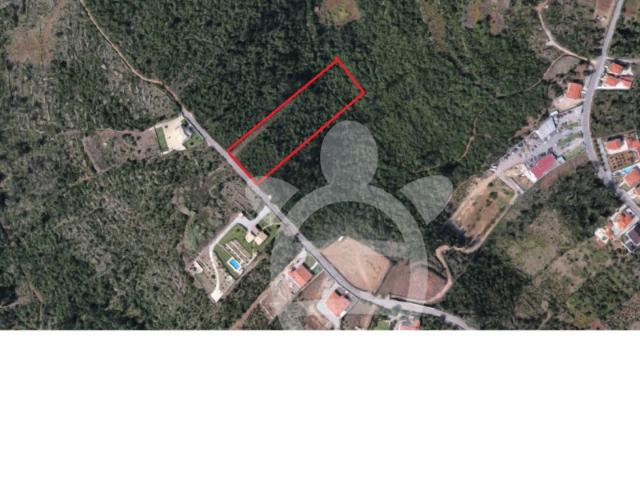 Terreno venda em Coimbrã, Antanhol