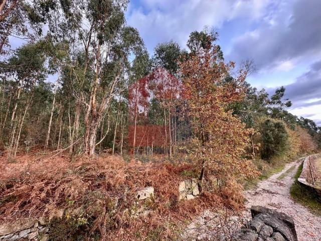 Terreno venda em Vila Verde, Braga