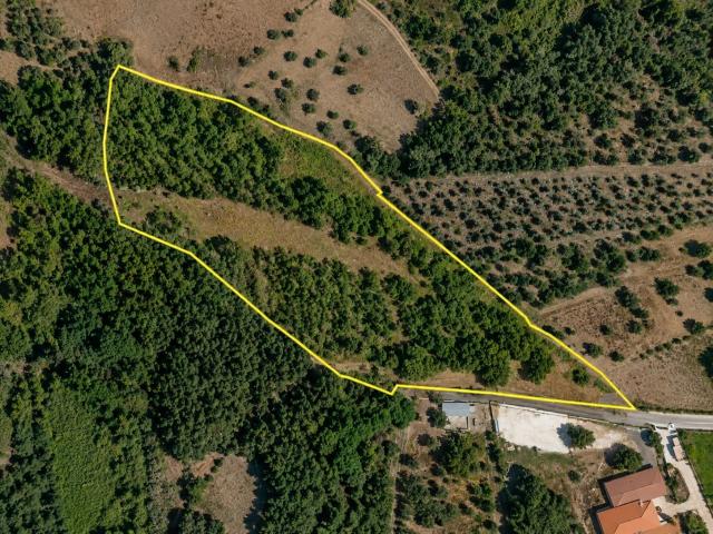Quinta venda em Tomar, Santarém