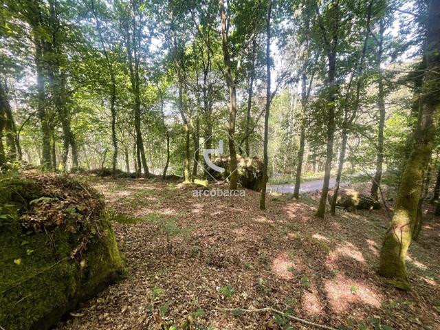 Terreno venda em Ferreira, Viana Do Castelo