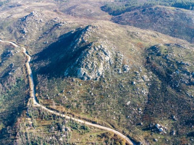 Terreno venda em Folhada, Várzea Ovelha E Aliviada
