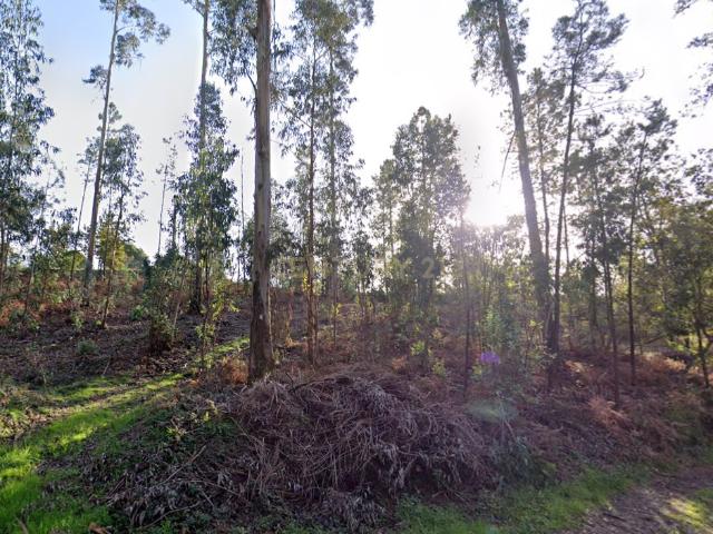 Terreno venda em Alheira e Igreja Nova, Arcozelo