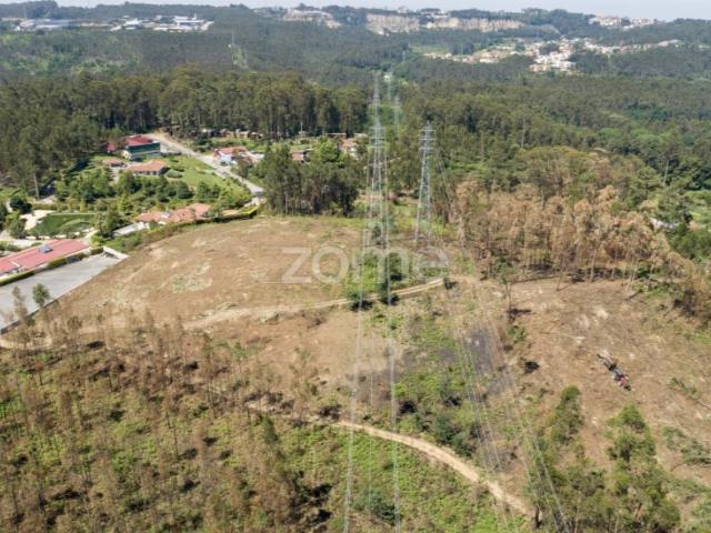 Terreno venda em Santa Maria Da Feira, Aveiro