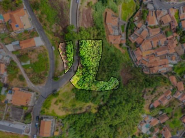 Terreno venda em Funchal, Ilha Da Madeira