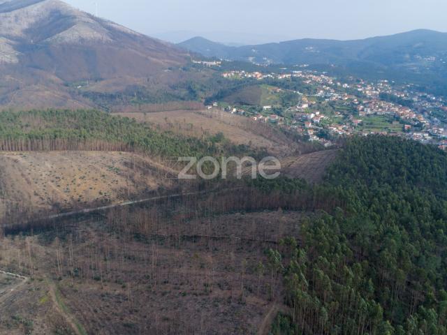 Terreno venda em Marecos, Porto