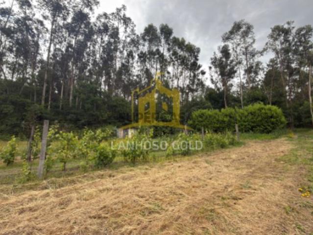 Terreno venda em Póvoa De Lanhoso, Braga