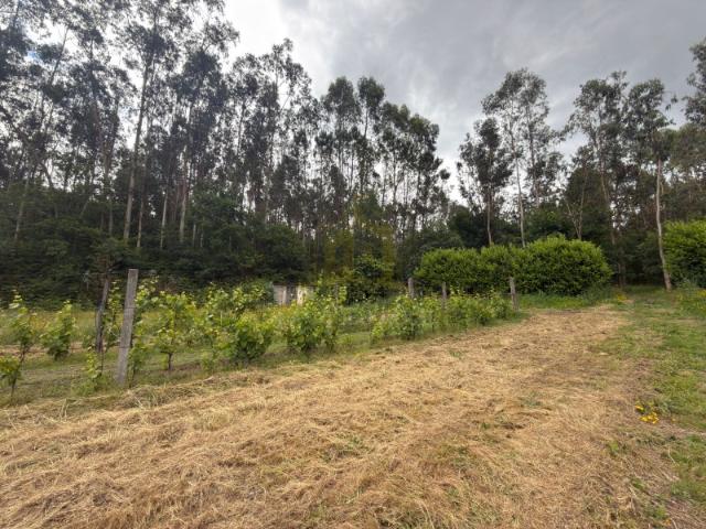 Terreno venda em Taíde, Póvoa de Lanhoso
